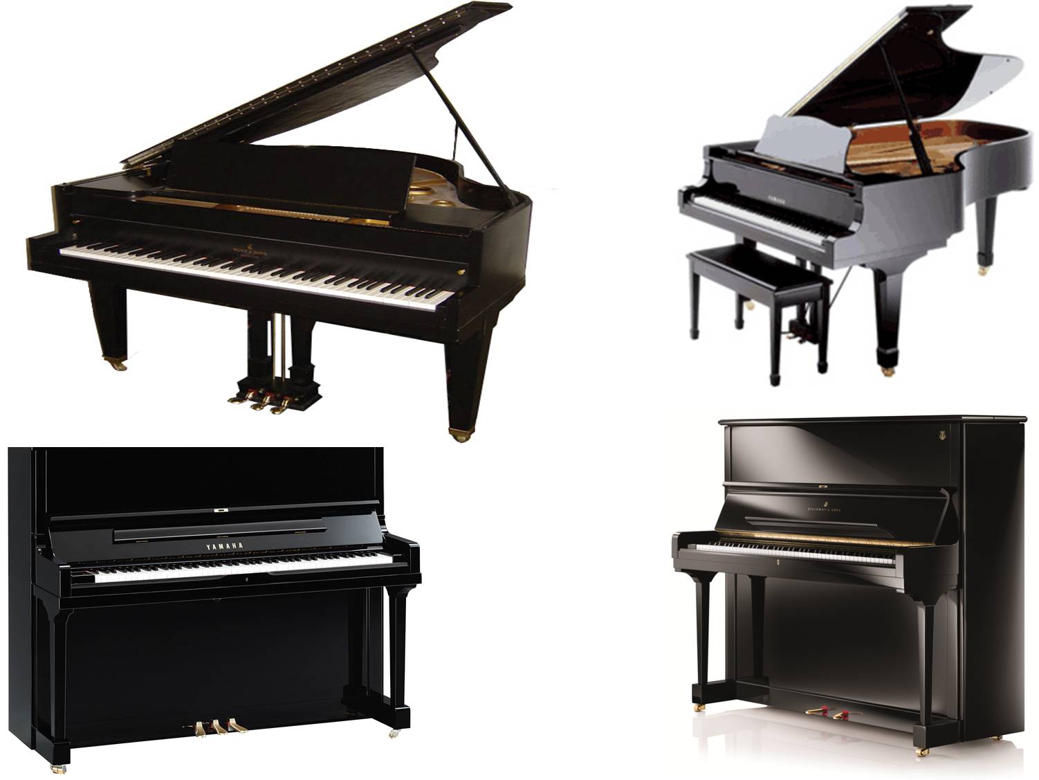 best piano on rent bangalore